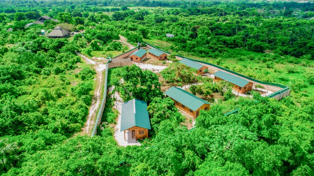 Vista aérea del santuario de monos en Punta Cana rodeado de selva, Best Tour Punta Cana.